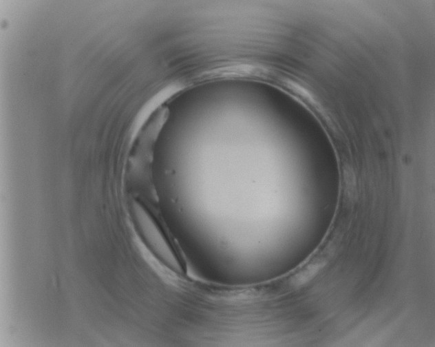 X0000075831426200610061810