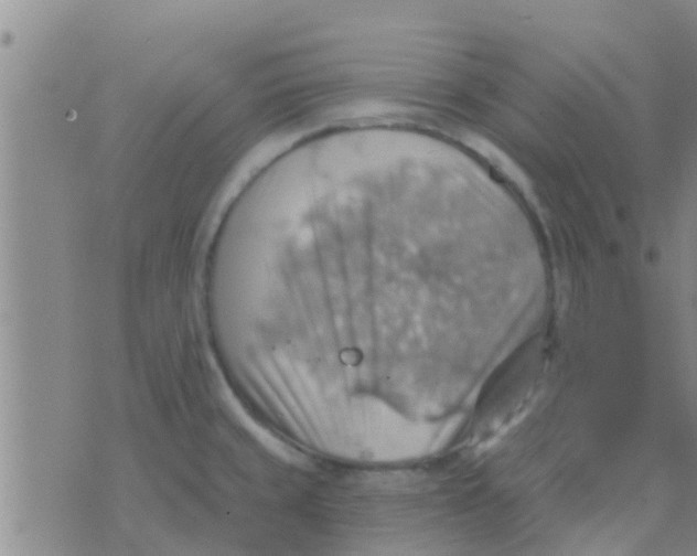 X0000075831429200610061811