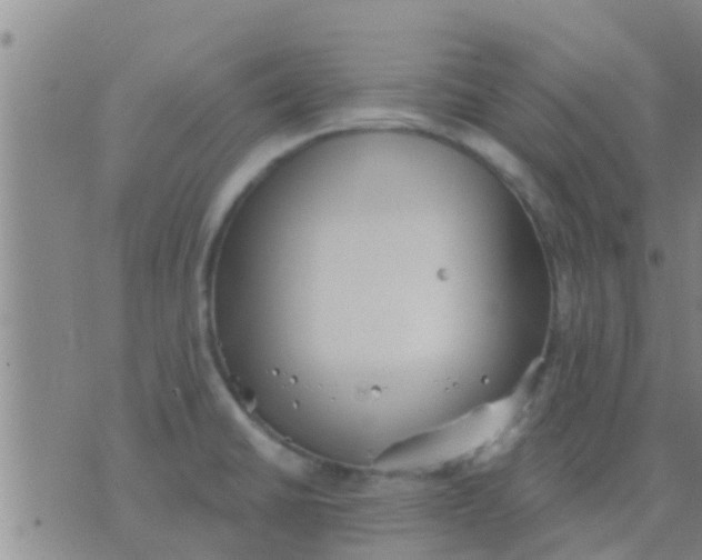 X0000075831430200610061811