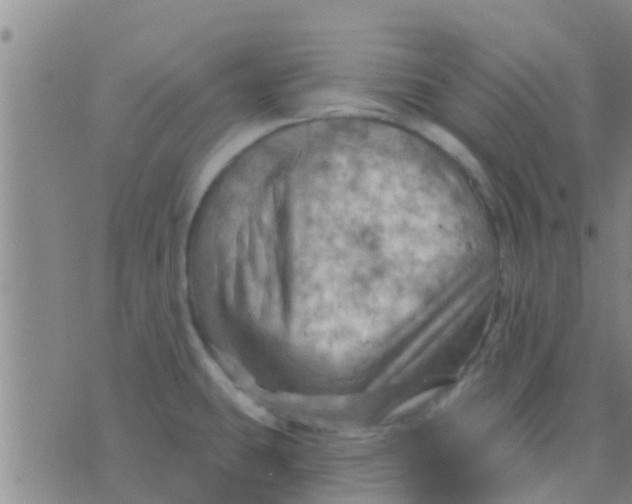 X0000075831431200610061811