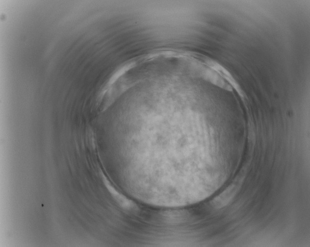 X0000075831433200610061811