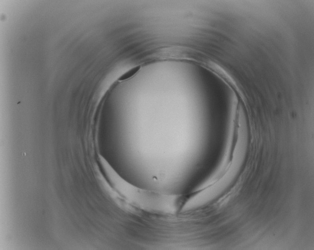 X0000075831434200610061811