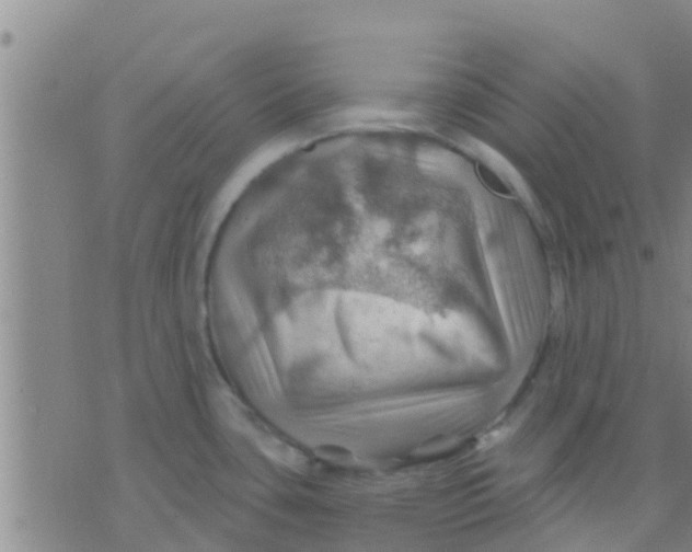 X0000075831435200610061811