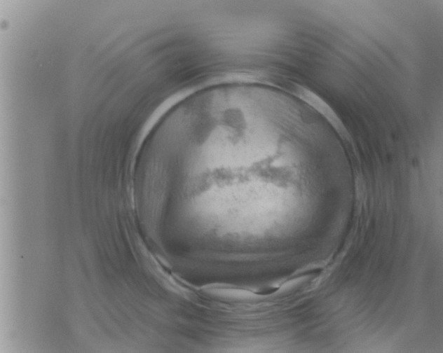 X0000075831436200610061811