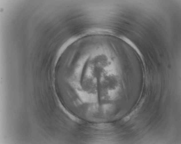 X0000075831437200610061811