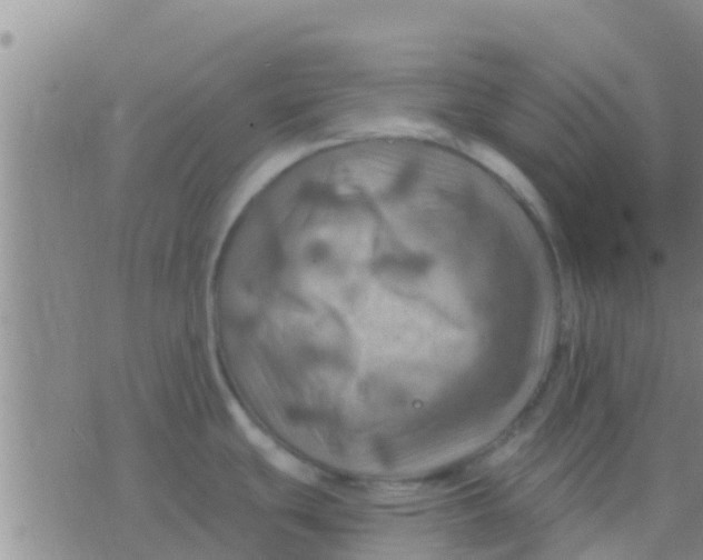 X0000075831439200610061811