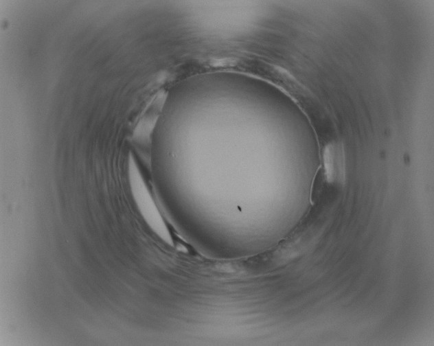 X0000075831443200610061810