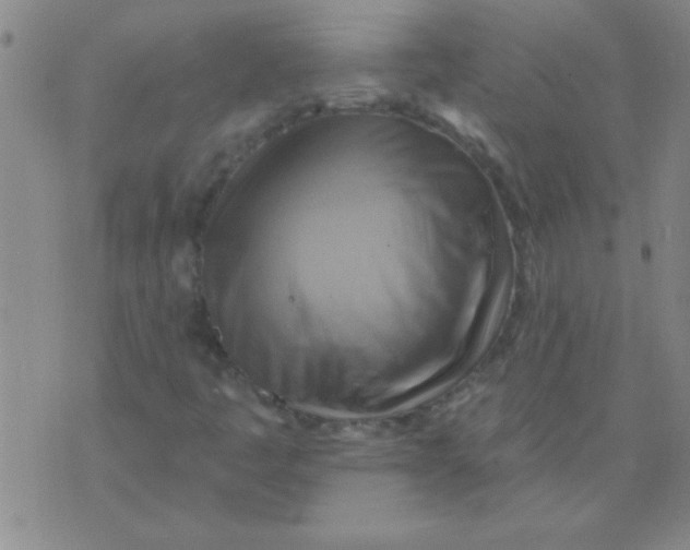 X0000075831445200610061810