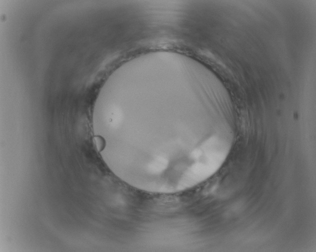 X0000075831446200610061810