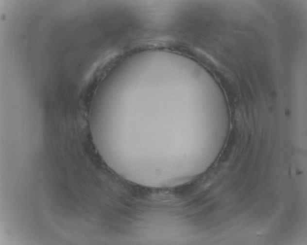 X0000075831447200610061810