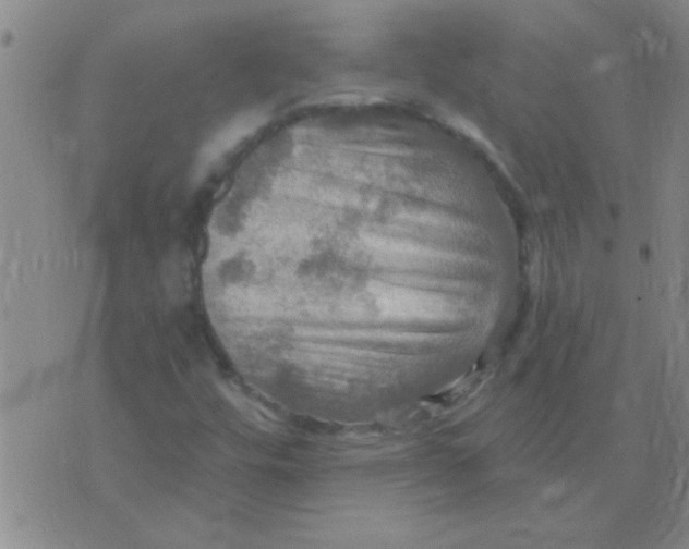 X0000075831448200610061810