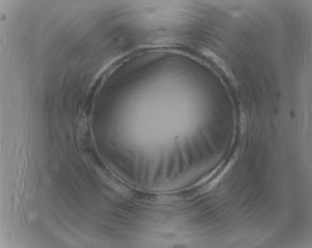 X0000075831449200610061810