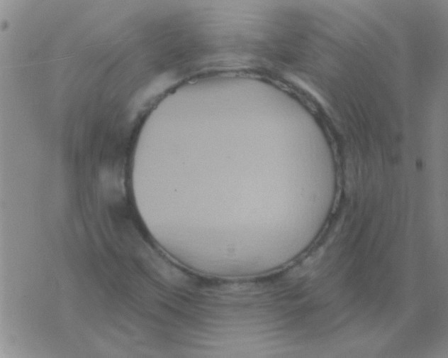 X0000075831451200610061810