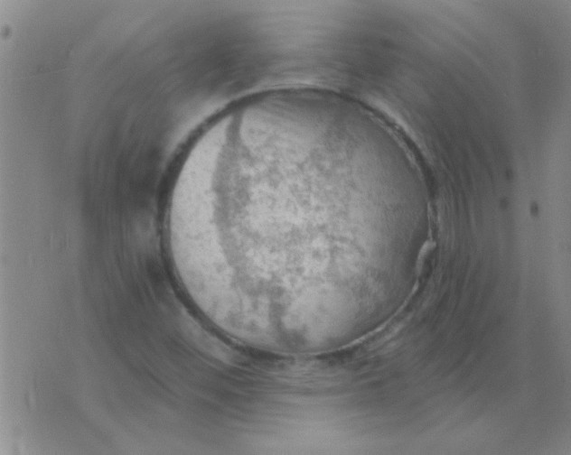 X0000075831452200610061810