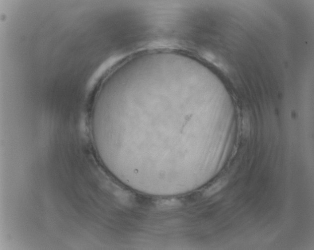 X0000075831454200610061810