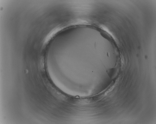 X0000075831455200610061810