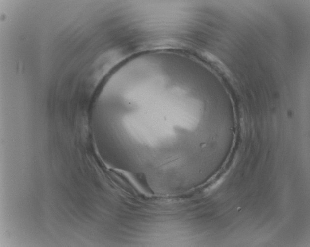 X0000075831457200610061810