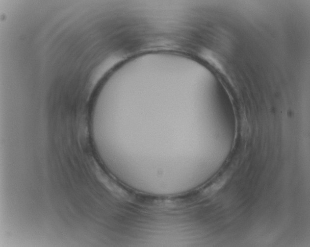 X0000075831458200610061810