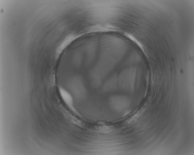 X0000075831459200610061810