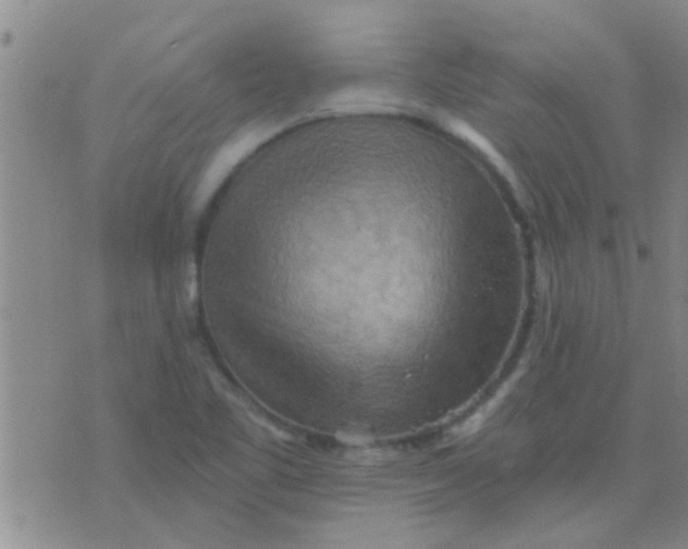 X0000075831461200610061810