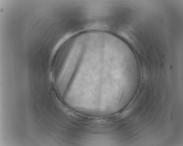 X0000075831462200610061810