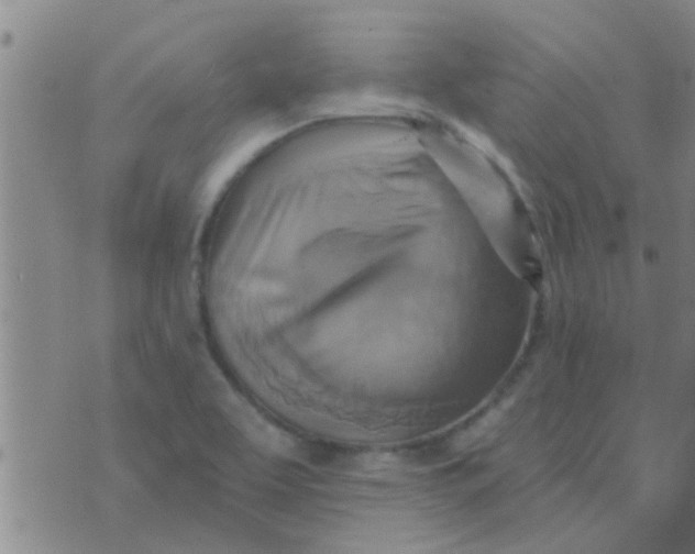 X0000075831463200610061810