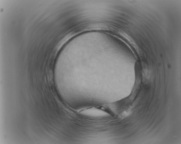 X0000075831465200610061810