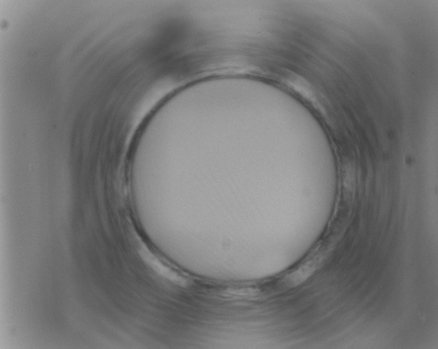 X0000075831466200610061810