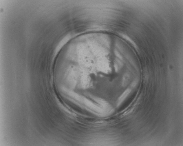 X0000075831467200610061810