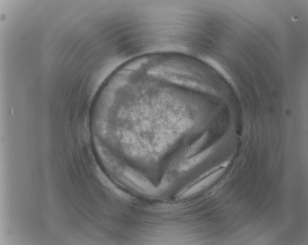 X0000075831468200610061809