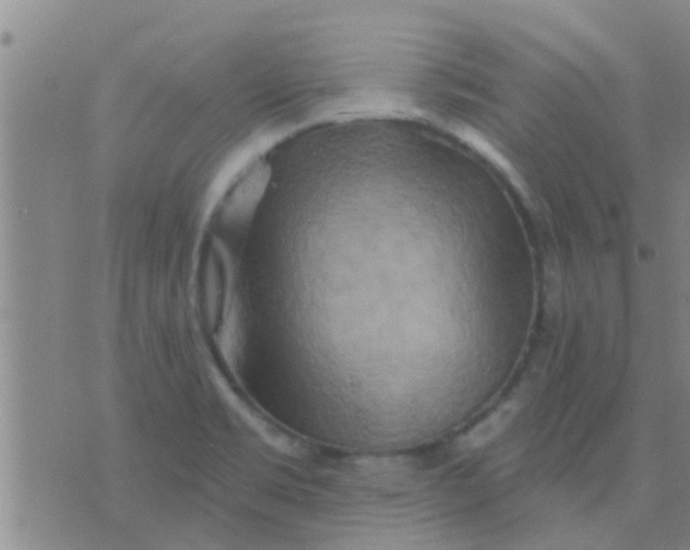 X0000075831469200610061809