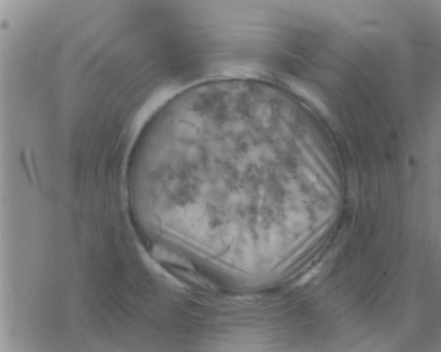 X0000075831471200610061809