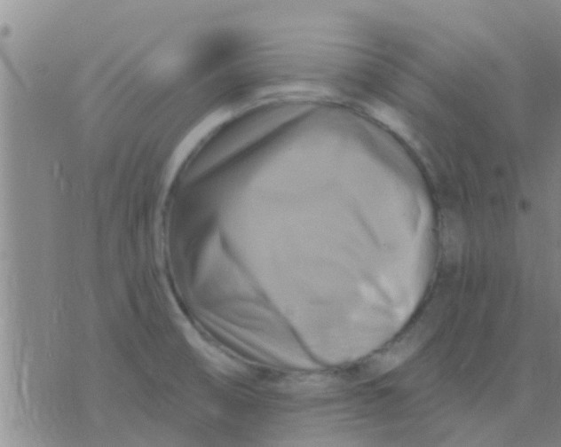 X0000075831474200610061809