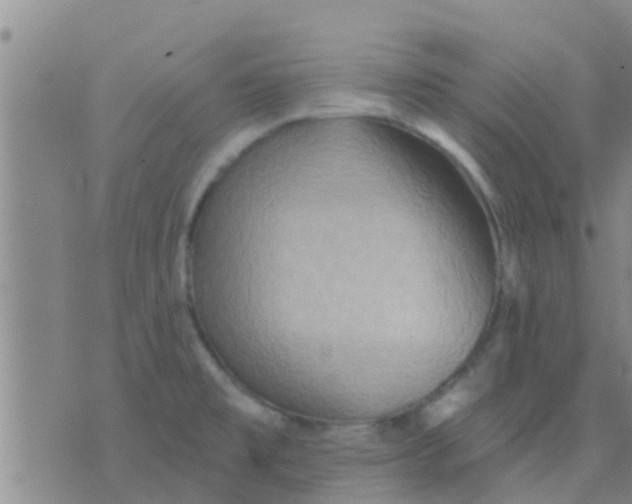 X0000075831477200610061809