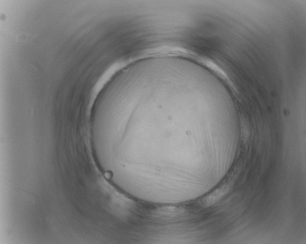 X0000075831478200610061809