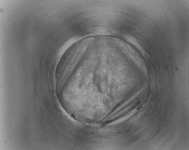 X0000075831479200610061809