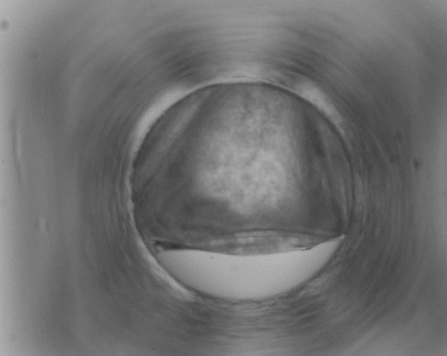 X0000075831480200610061809