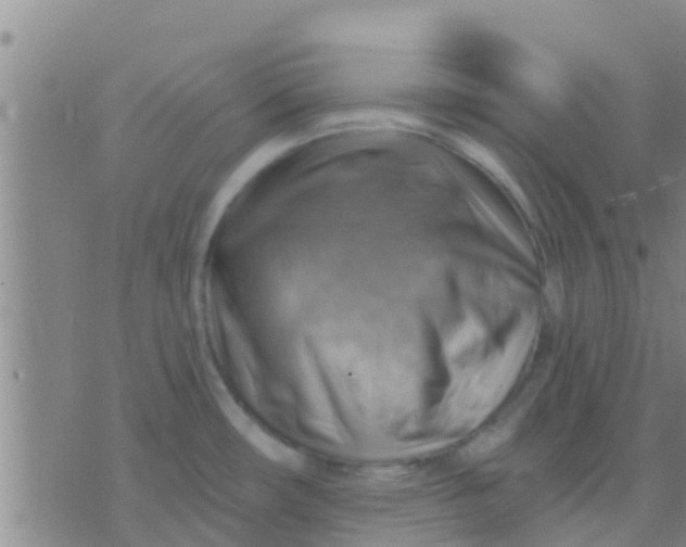 X0000075831482200610061809