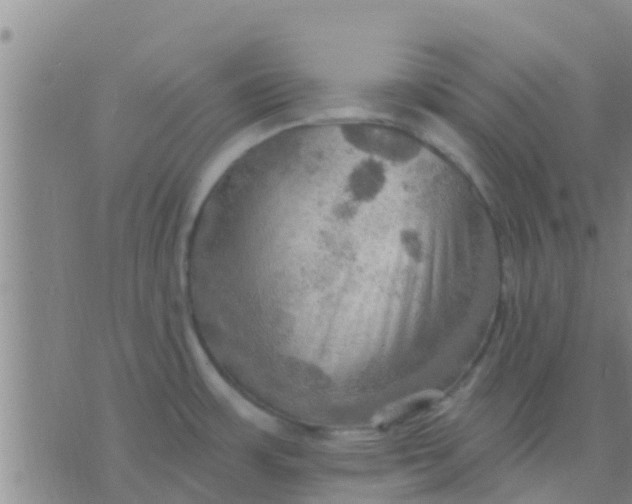 X0000075831483200610061809