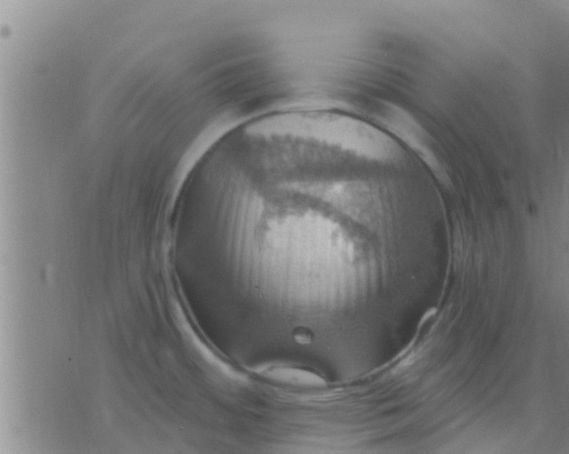 X0000075831484200610061809