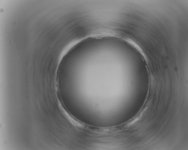 X0000075831485200610061809