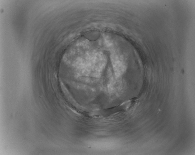 X0000075831489200610061808