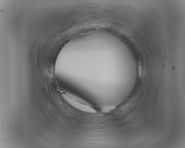 X0000075831492200610061808