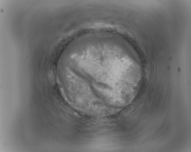 X0000075831493200610061808