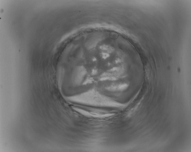 X0000075831494200610061808