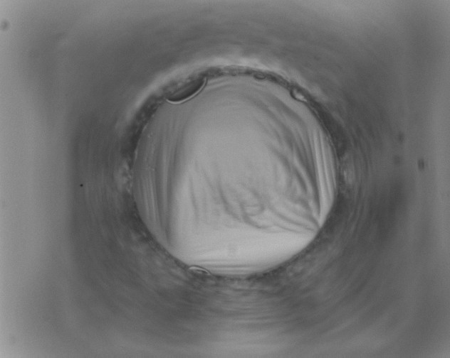 X0000075831495200610061808