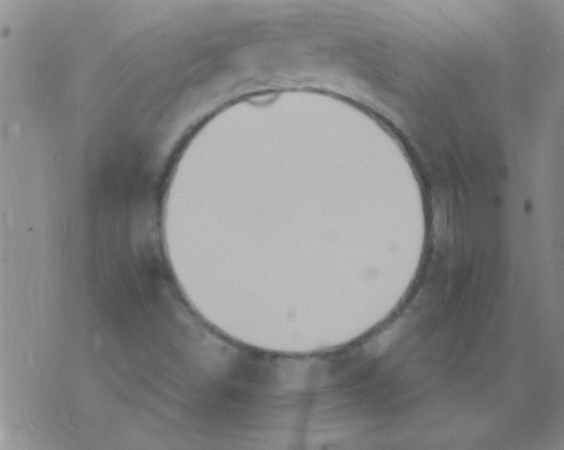 X0000075831498200610061809