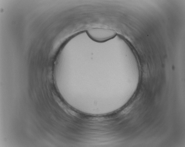 X0000075831499200610061809