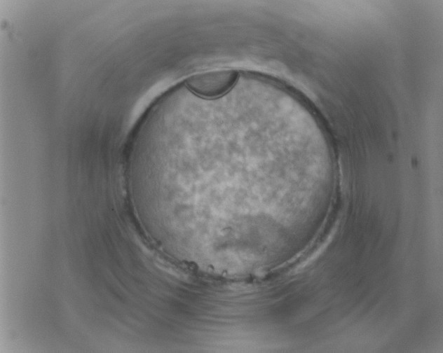 X0000075831501200610061809