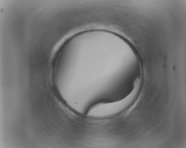 X0000075831502200610061809